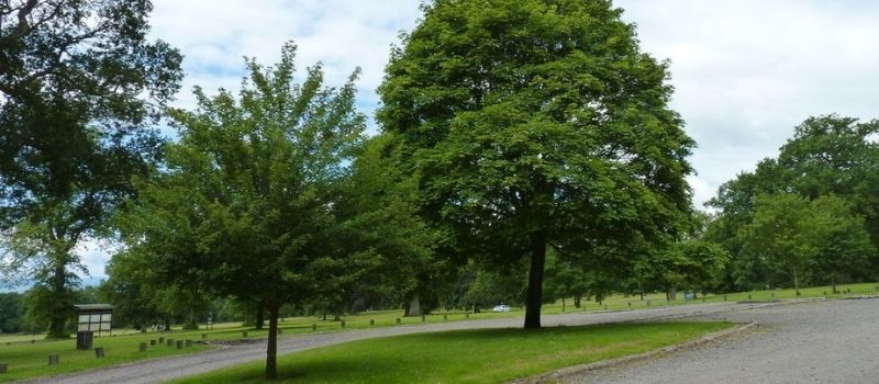 Camperdown Park