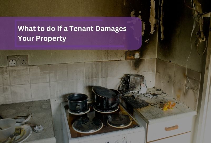 what to do if a tenant damages your property